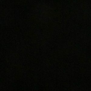 Meet your Posher, Maddy